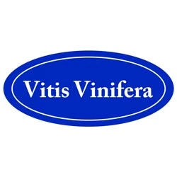 Vitis Vinifera Cleaning