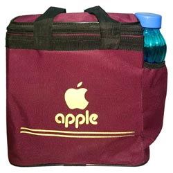 Lunch Bag with Water Bottle Slot for School,College,Office etc