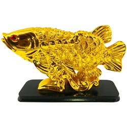 Golden Fish for Perfect Gifting