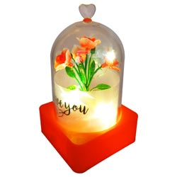 Lovable Gift for Couples,Lovers with Lights