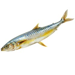 Milk Anchovy Dry Fish-BUY 1Kg,100gm Absolutely FREEEE