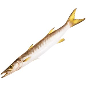 Barracuda Dry Fish/ Ooli meen Karuvadu-BUY 1Kg,100gm Absolutely FREEEE