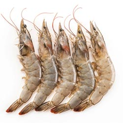 Big Shrimp Dry Fish/Periya Kooni Karuvadu-BUY 1Kg,100gm Absolutely FREEEE