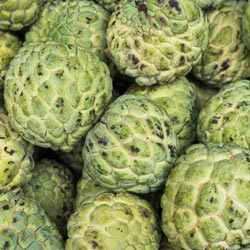 Delicious FRESH Custard Apple