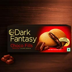 Sunfeast Dark Fantasy Choco Fills ORIGINAL Filled Cookies,24 packs-300gm Carton