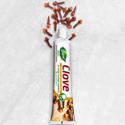 Dabur Clove HERB'L cavity Protection Fluoride,Parabens,Triclosan Free Toothpaste