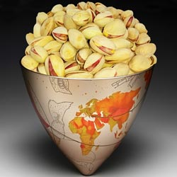 Gokhul Shelled Salt Pistachio/Salt Pista-100gm