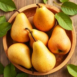 Pear Fruits