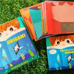 Origami Project