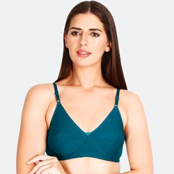 Prithvi Prency B Cup Soft and Adjustable Back Hook Girls Brassieres(Pack of 10)